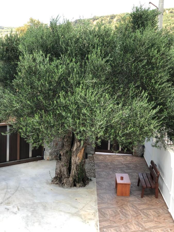 Villa Creta Galini House Sirílion Exterior foto