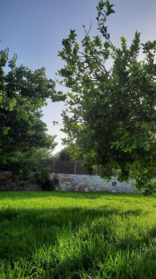 Villa Creta Galini House Sirílion Exterior foto